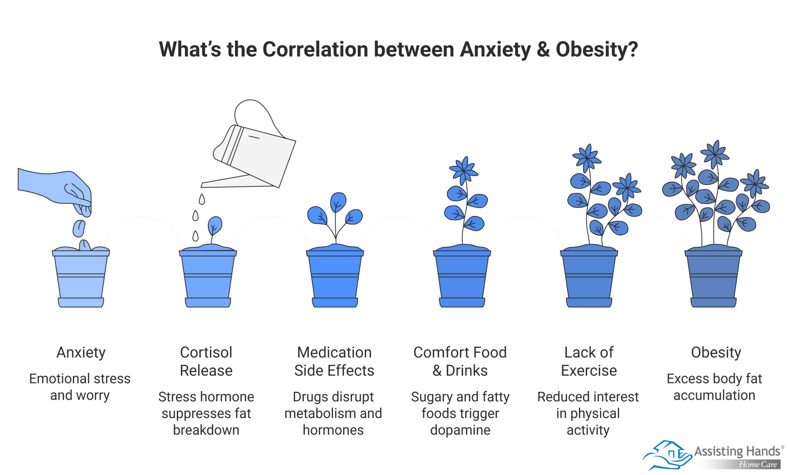 What’s the Correlation between Anxiety & Obesity
