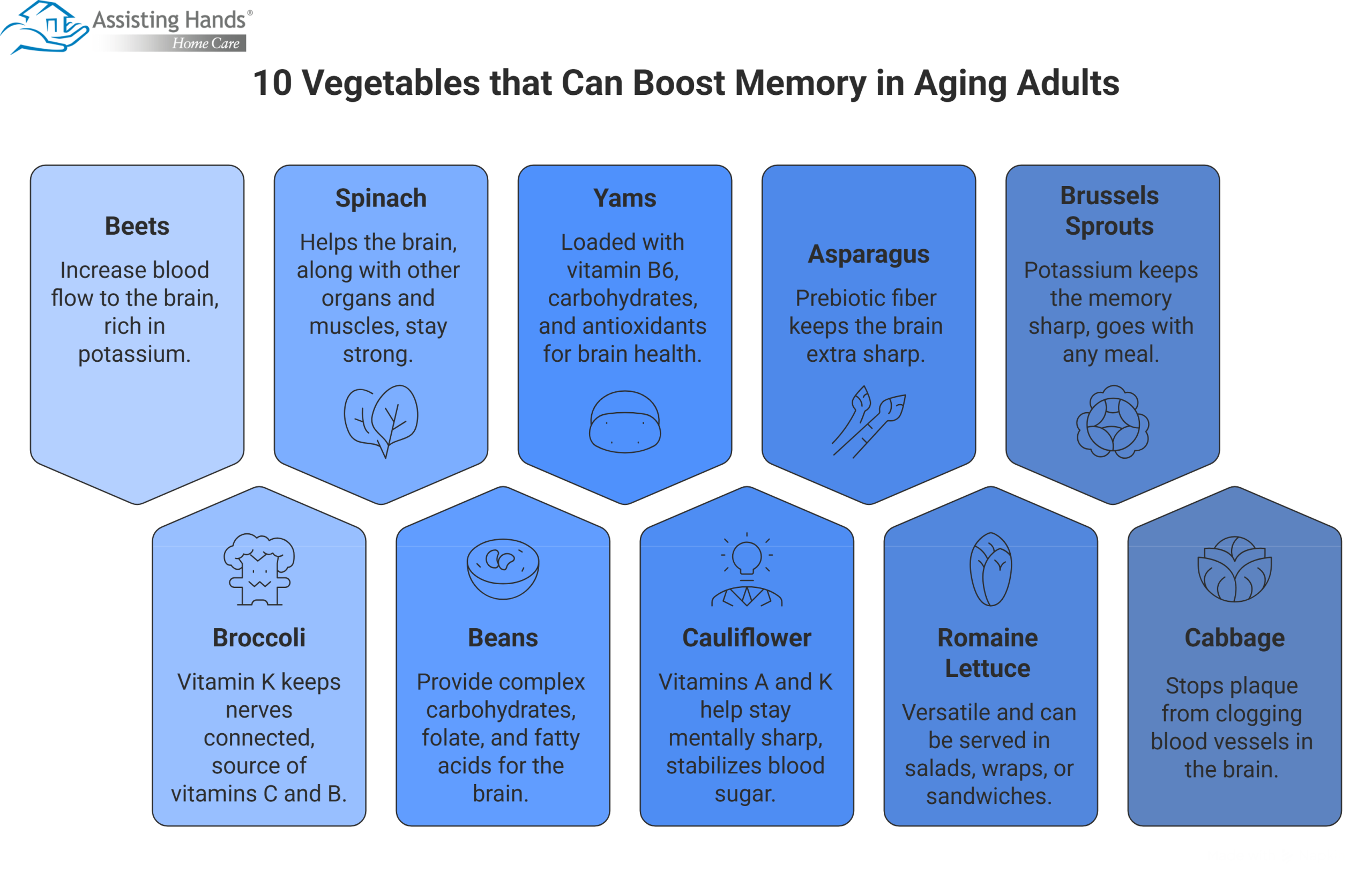 10 Vegetables that Can Boost Memory in Aging Adults